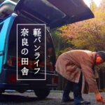 【軽バンライフ】犬&プロミュージシャン 仕事が無いから奈良の田舎で車中泊