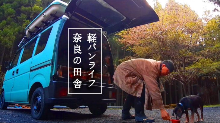 【軽バンライフ】犬&プロミュージシャン 仕事が無いから奈良の田舎で車中泊