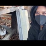 【混浴女子】氷点下LIVE