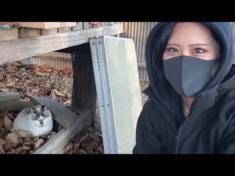 【混浴女子】氷点下LIVE