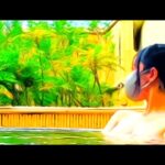 【温泉女子】Hakone, Japan hot spring with no towel #Day trip to Onsen #당일치기온천 #एक दिवसीय गर्म पानी का झरना