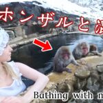 ニホンザルと外国人一緒に混浴温泉入った♨️🐒 長野旅館