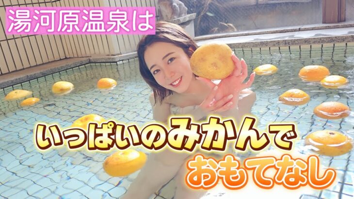 湯河原温泉はいっぱいのみかんでおもてなし🍊「湯河原温泉 編」（出演：白崎えりか）