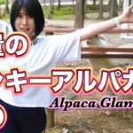 クセが強いアルパカさん達とグランピンをする温泉女子♨️ Alpaca Glamping Nasu【限定動画は概要欄Fantiaで公開中】