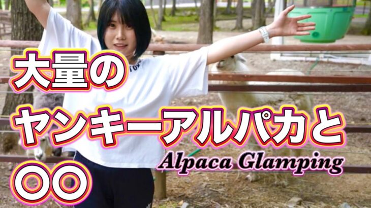 クセが強いアルパカさん達とグランピンをする温泉女子♨️ Alpaca Glamping Nasu【限定動画は概要欄Fantiaで公開中】