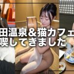 ふわふわの猫ちゃんがかわいくて癒されました！