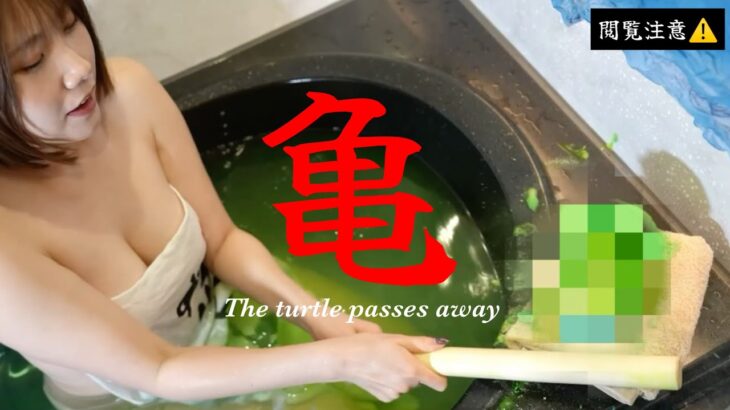 【閲覧注意⚠️】限定公開《The turtles passes away》亀頭を激しく逝かせる温泉お風呂女子の狂気【ファンクラブ限定動画YouTube版】