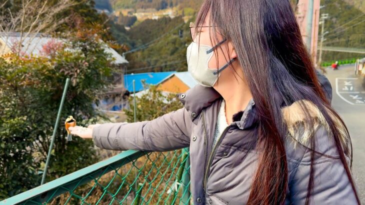 【めっちゃかわいい】こんな初体験ができるとは思いませんでした【優しい力加減】So cute. A first-time experience with such a gentle touch.